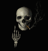 Skull010.gif (30813 bytes)