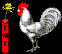 ani_tnt-n-chicken.gif (16734 bytes)