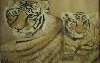 cats.jpg (3245 bytes)