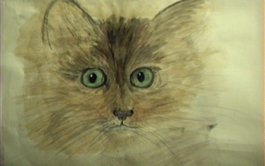 pussy-big.jpg (29126 bytes)