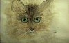 pussy-small.jpg (2454 bytes)