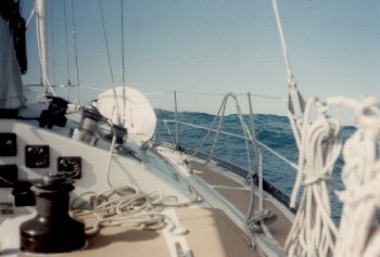 storm.jpg (18210 bytes)