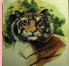 tiger-small.jpg (4832 bytes)
